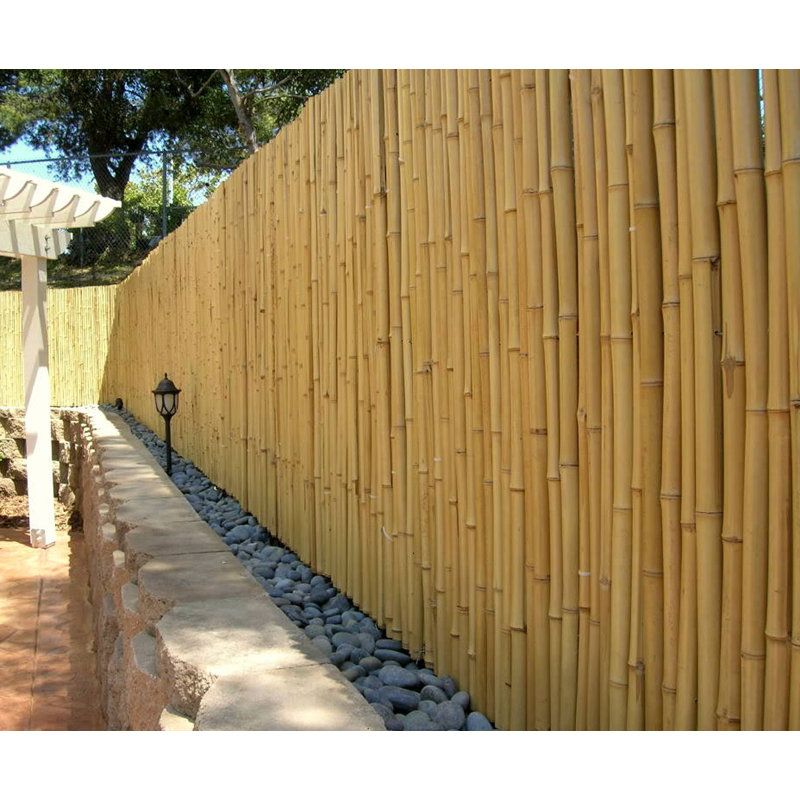 Backyard XScapes Bamboo Fencing & Reviews Wayfair